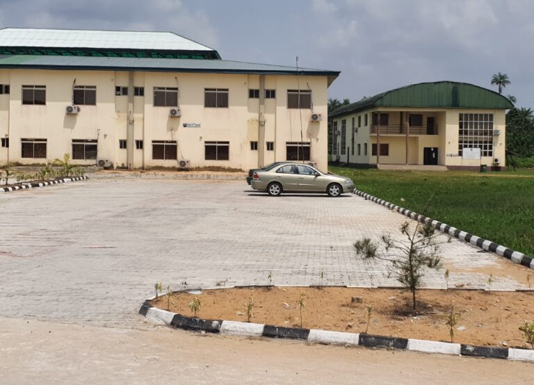 Physical Infrastructure/Program Upgrade – Niger Delta University